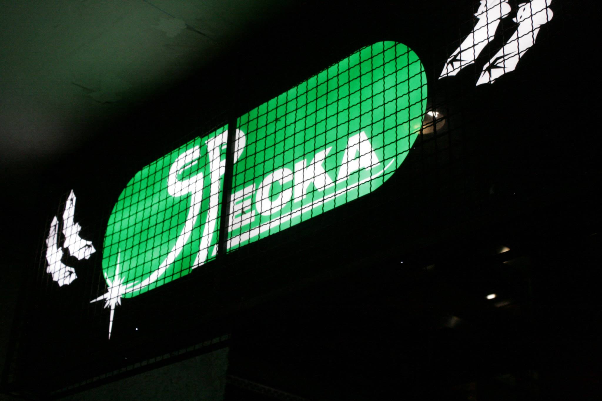 entrevista-rosy-specka-05