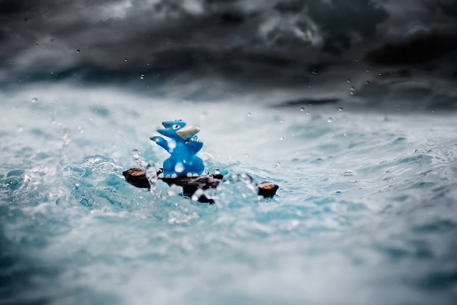 fiebre-pokemon-en-su-habitat-natural-08